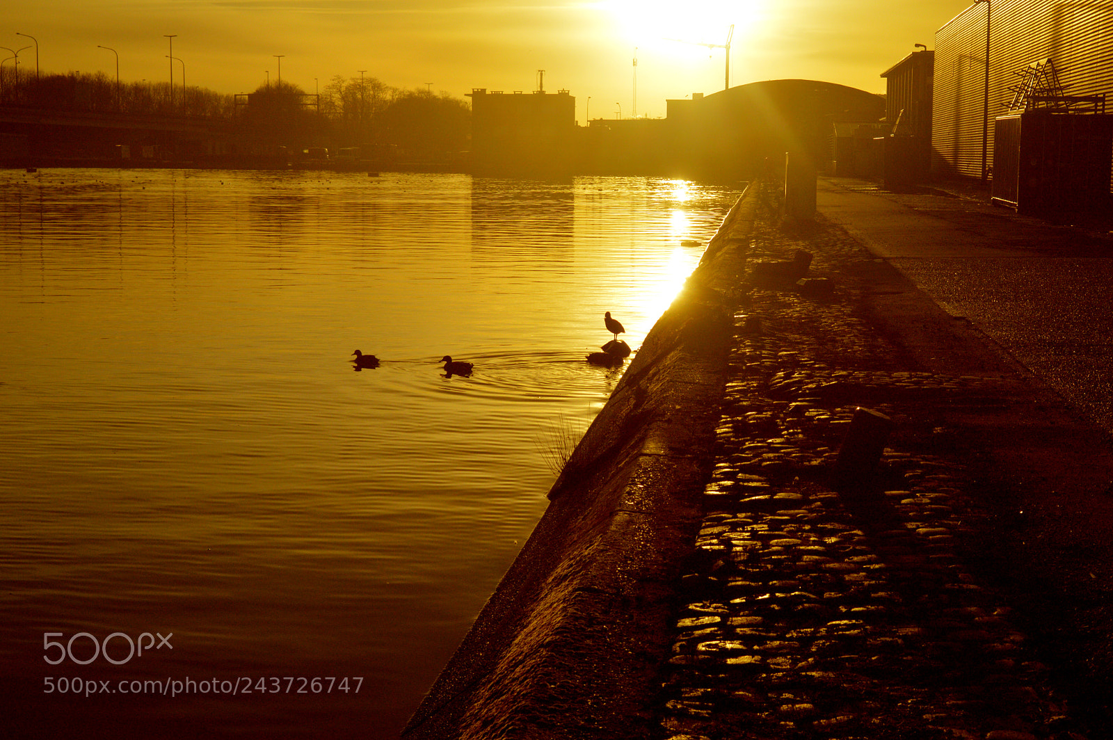 Nikon D3200 sample photo. Riverside sun photography