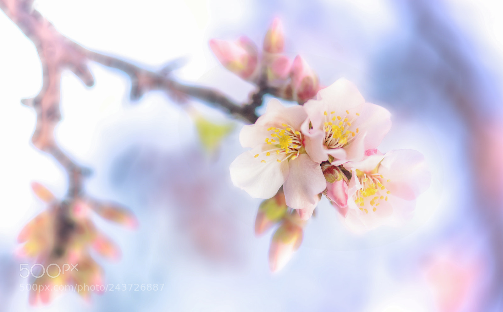 Nikon D850 sample photo. It was a so photography