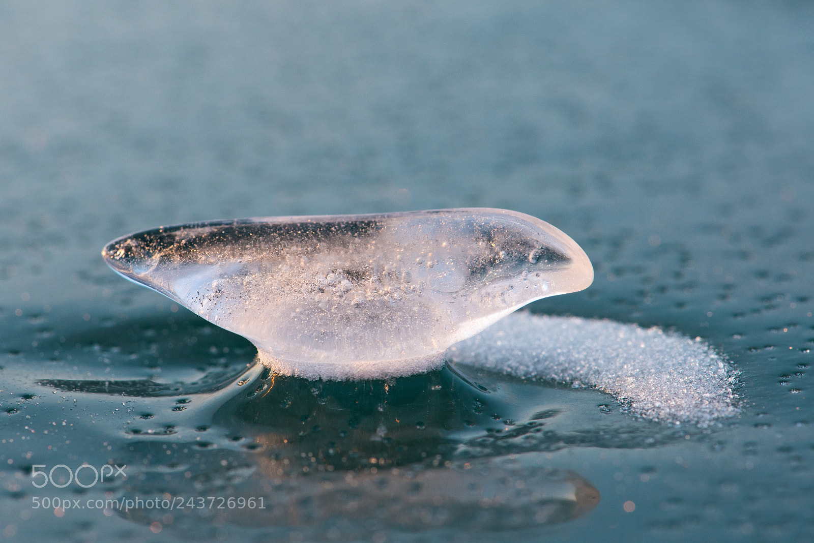 Nikon D800 sample photo. Piece of ice like photography