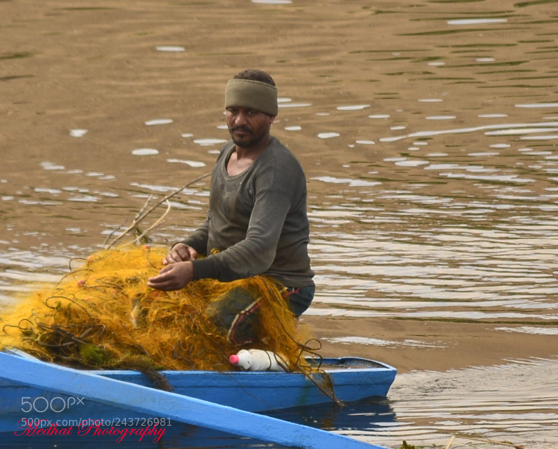 Nikon D610 sample photo. Fishing photography