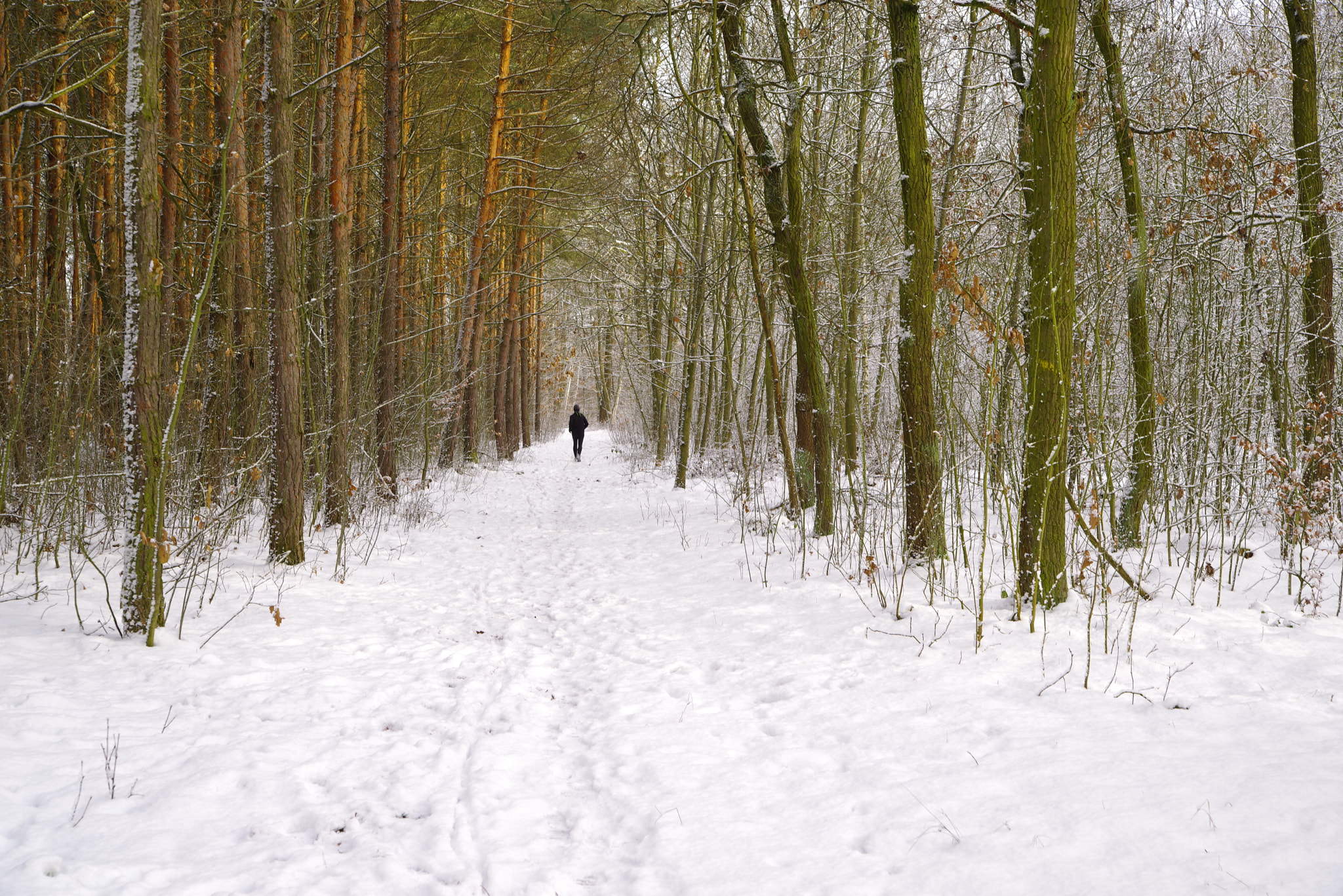 Pentax K-1 sample photo. Winter photography