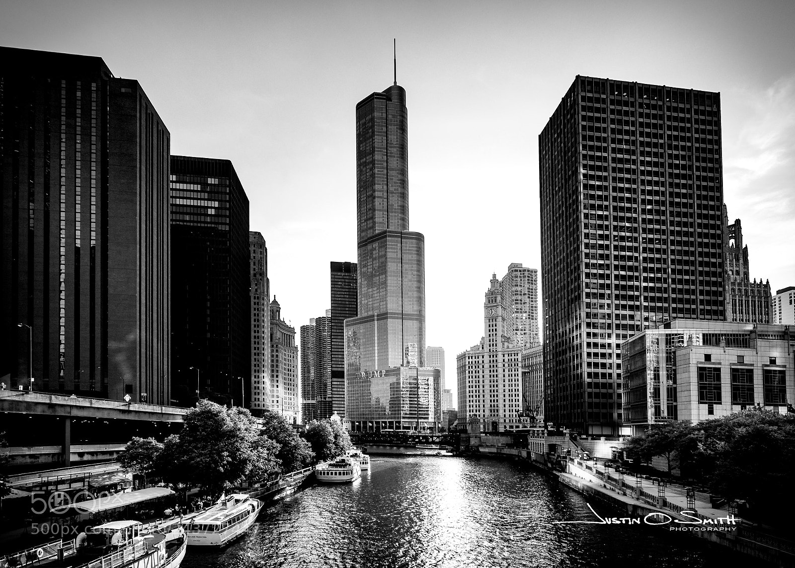 Nikon D500 sample photo. Untitled photography