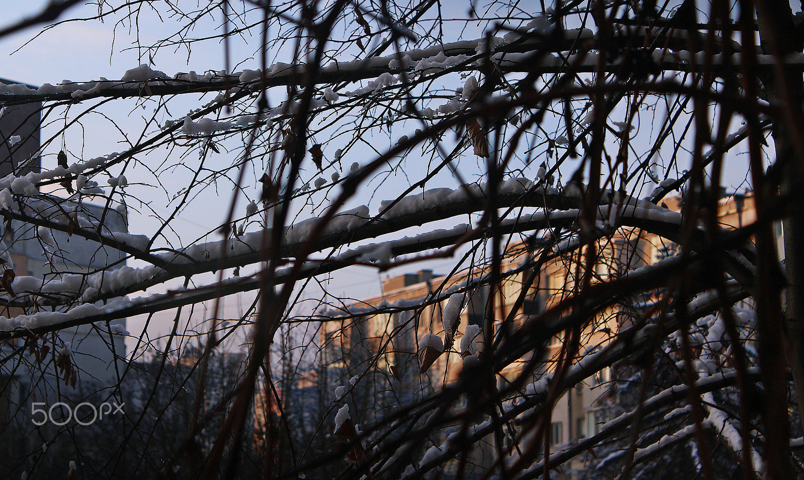 Canon EOS 100D (EOS Rebel SL1 / EOS Kiss X7) sample photo. How my morning starts photography