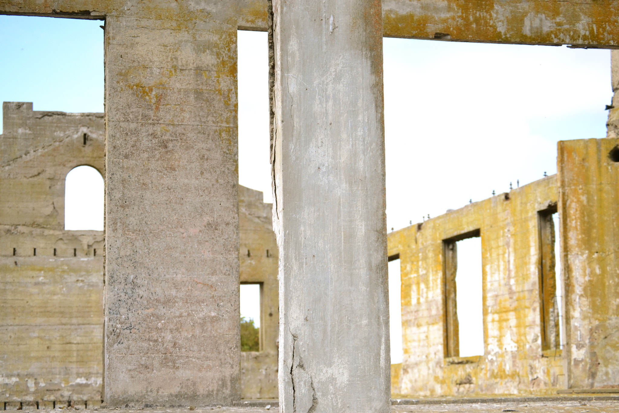 Nikon D3100 sample photo. Alcatraz photography