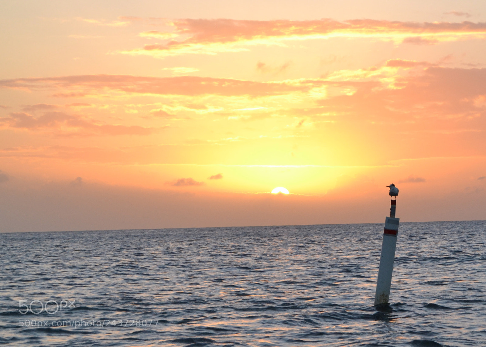 Nikon D3100 sample photo. Roatan sunset photography