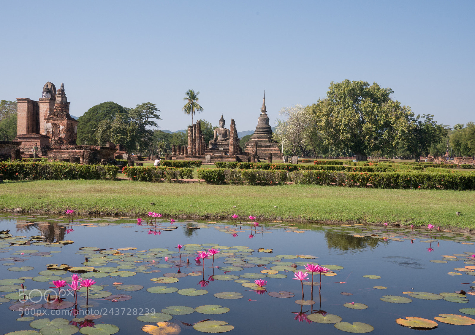 Panasonic Lumix DMC-GX7 sample photo. Thaïlande janvier 2017 photography