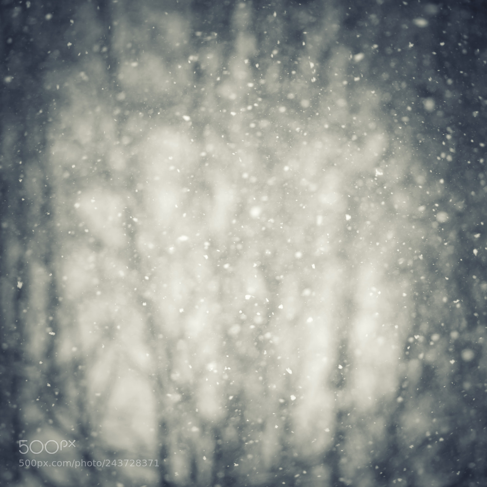 Nikon D810 sample photo. Winter blur background with photography