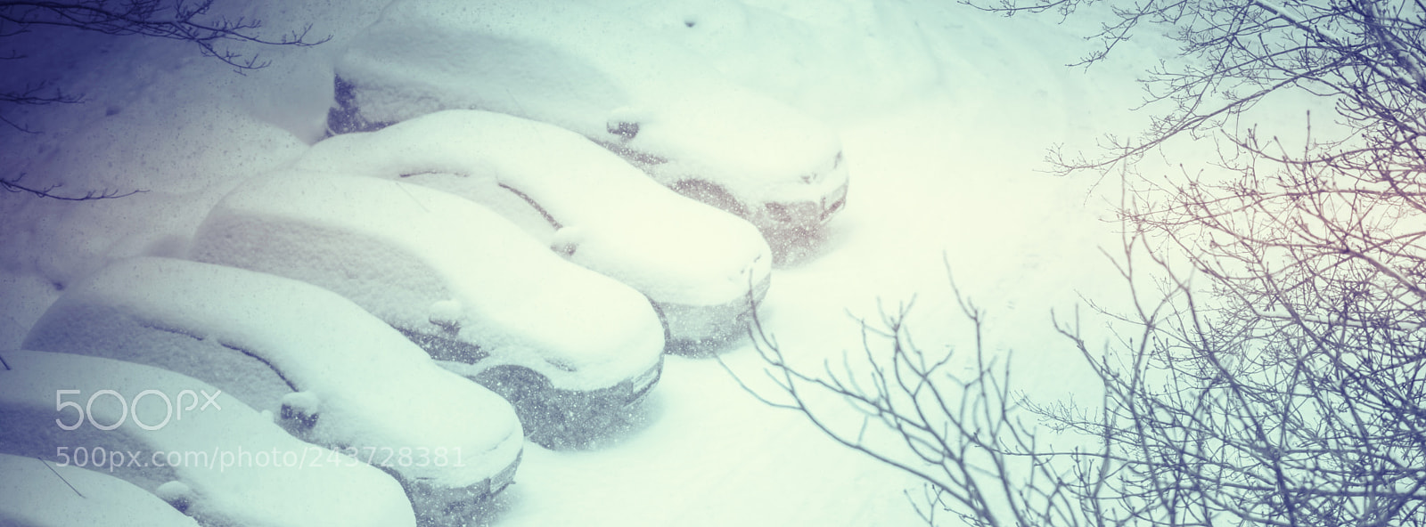 Nikon D810 sample photo. Cars covered in snow photography