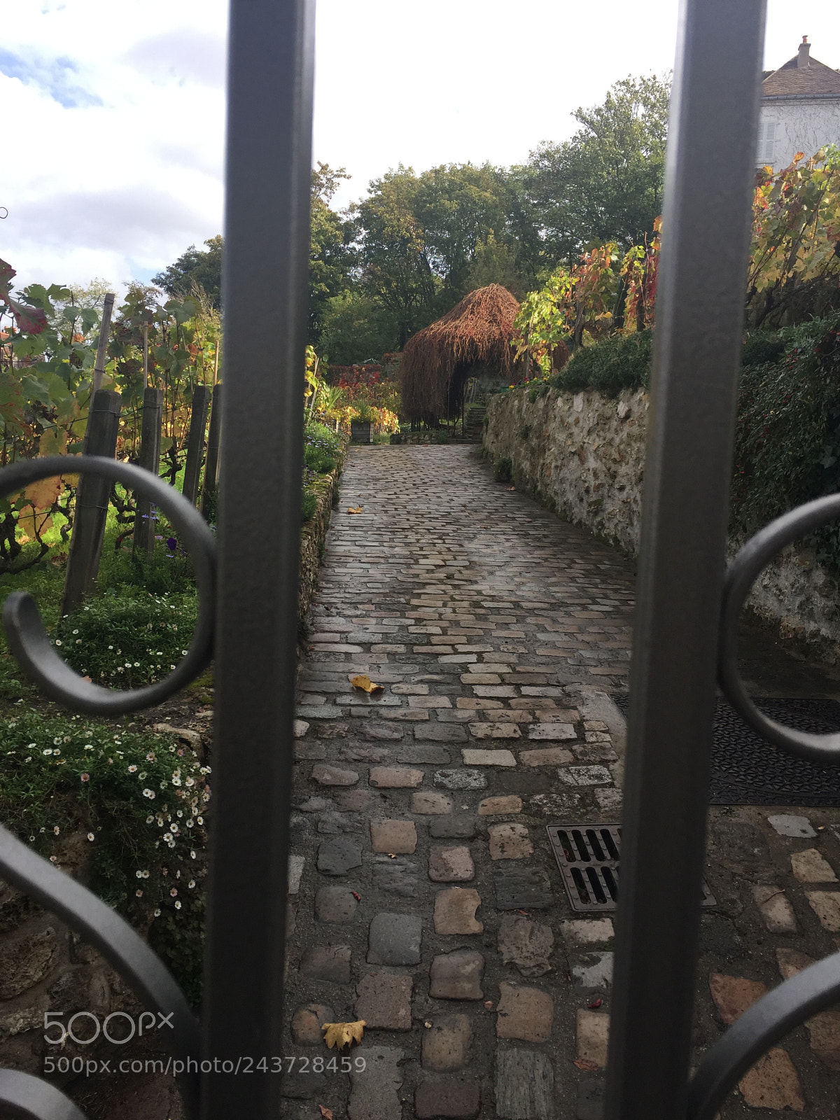 Apple iPhone 6 Plus sample photo. Mont martre paris .. l'automne photography