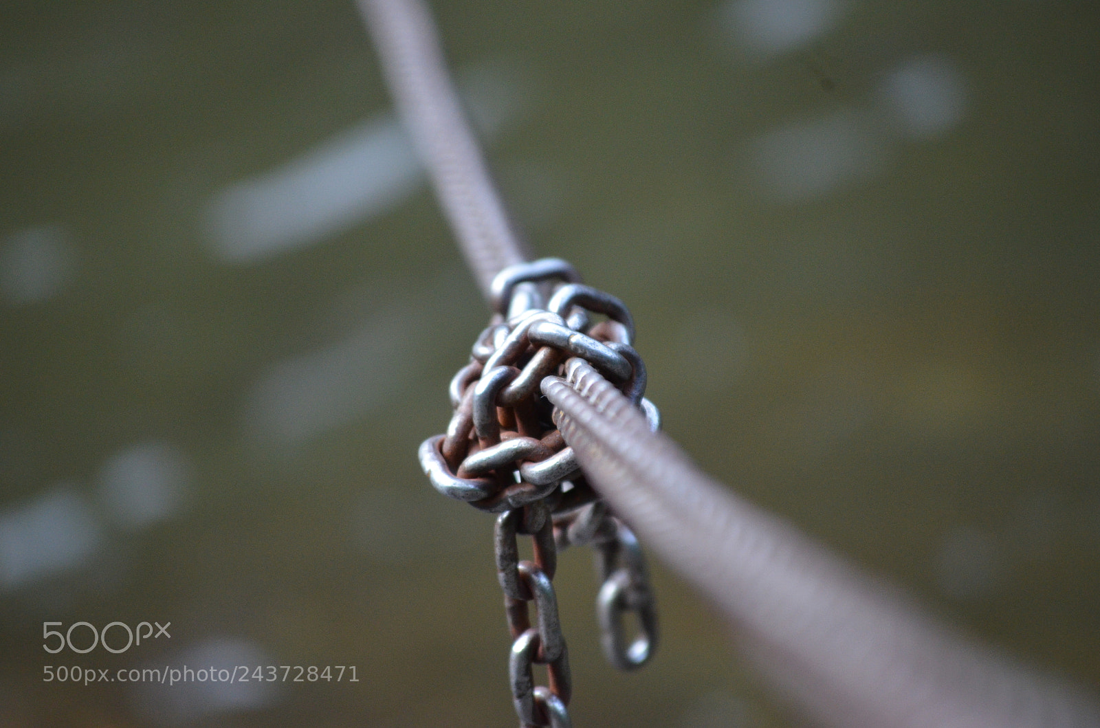 Nikon D5100 sample photo. Chained up photography