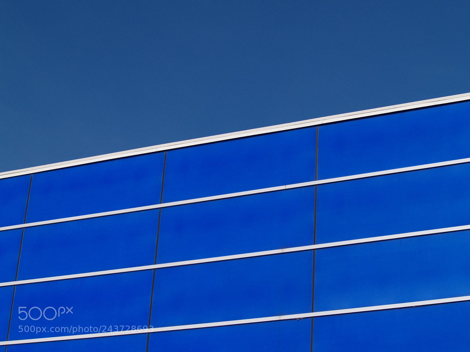 Olympus E-300 (EVOLT E-300) sample photo. Blue on a sunny photography