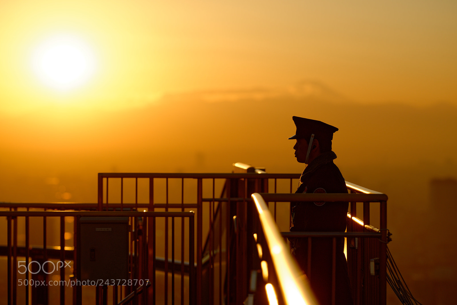 Nikon D800 sample photo. Golden backlight photography