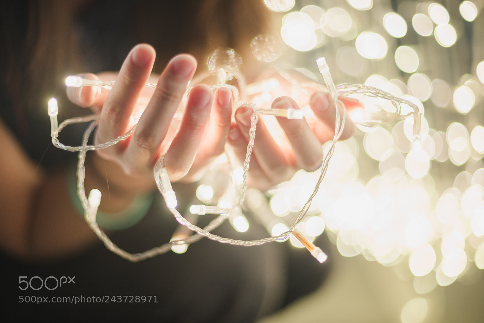 Nikon D610 sample photo. The light photography