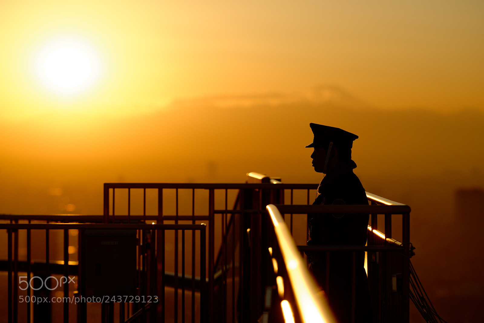 Nikon D800 sample photo. Guard photography