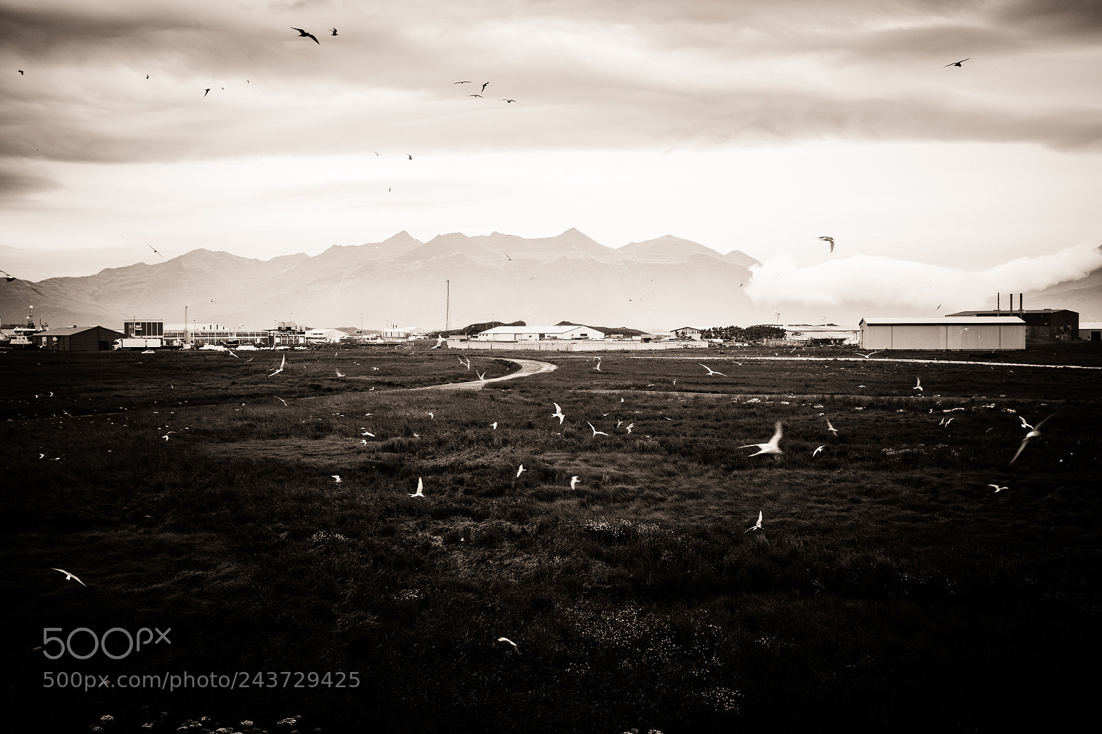 Fujifilm X100T sample photo. Höfn, iceland photography
