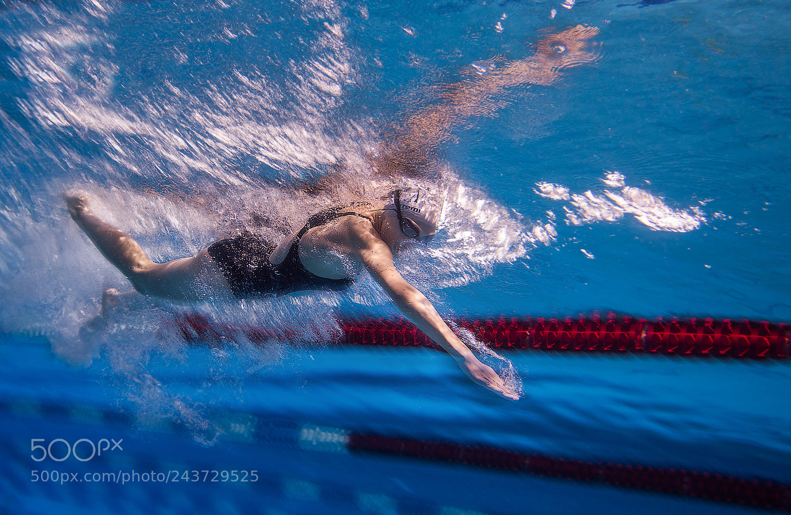 Nikon D800 sample photo. Woman swimmer, pool, swimming photography