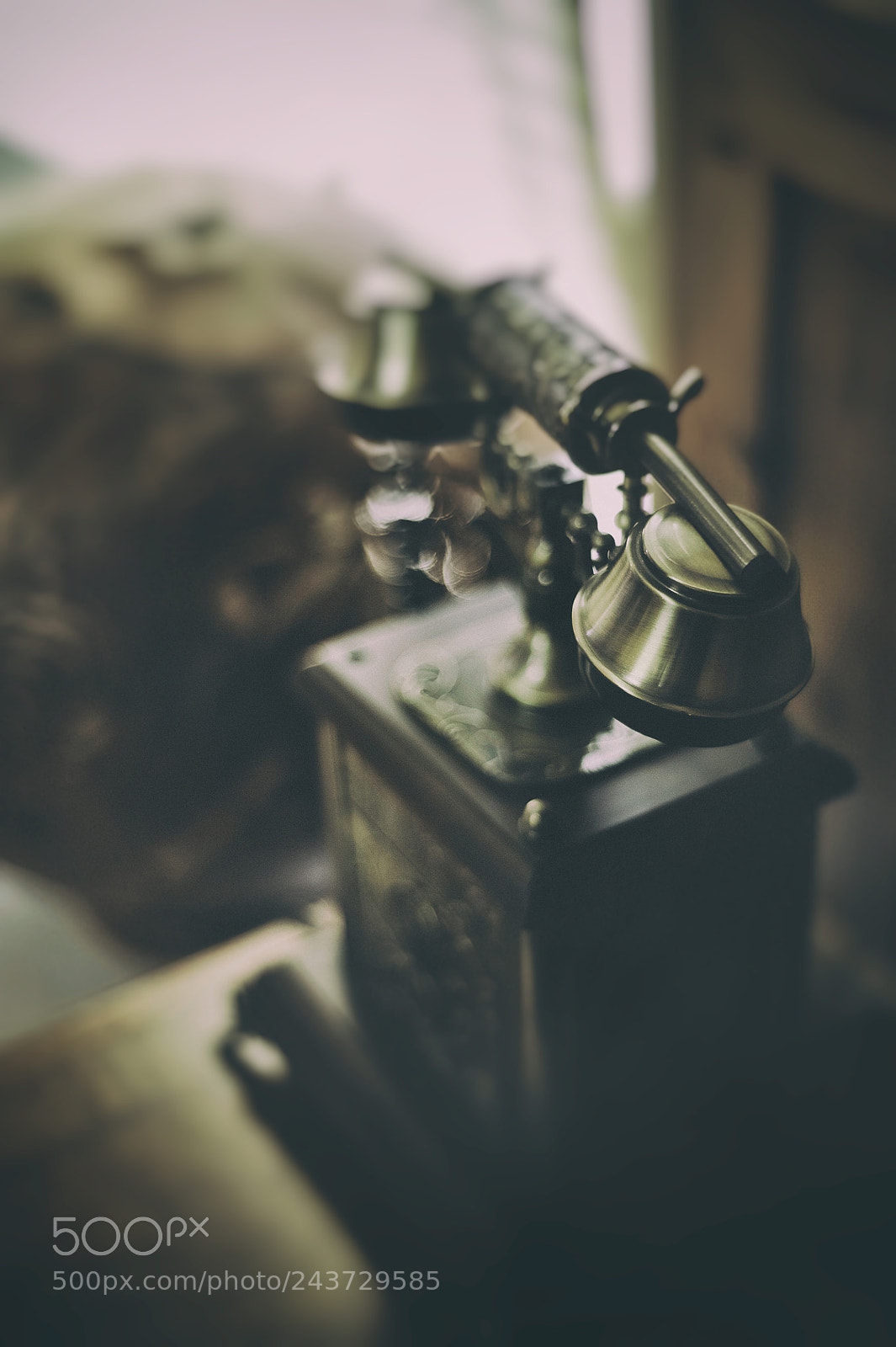 Nikon D3 sample photo. Still waiting photography