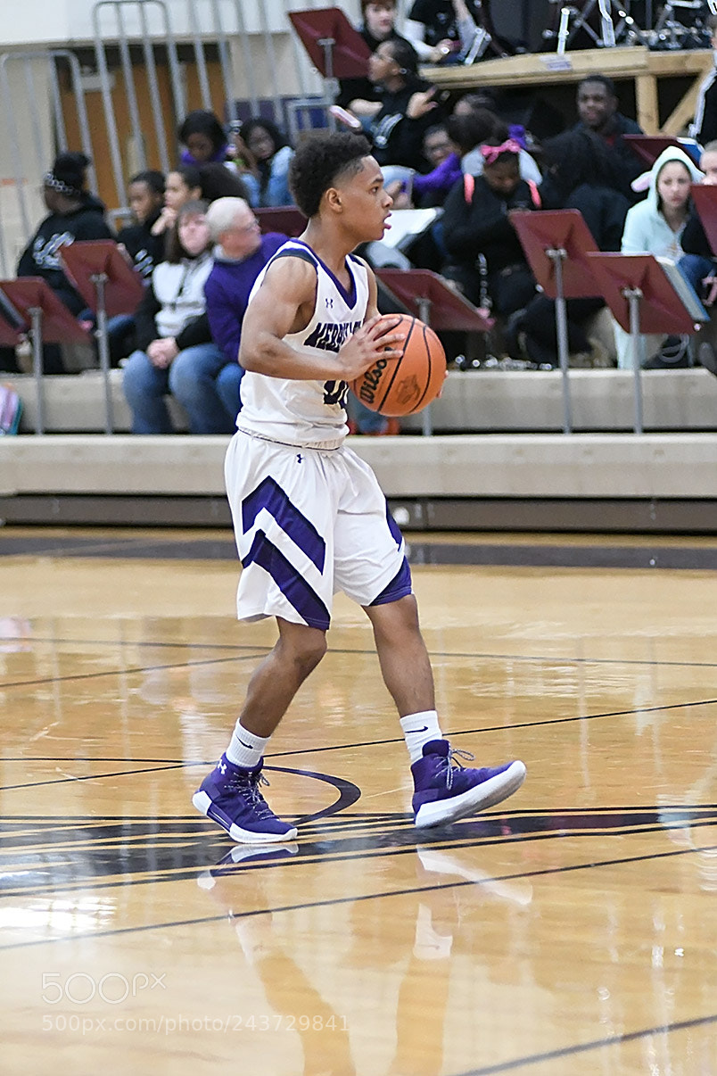 Nikon D500 sample photo. 1-20_0499.jpg photography