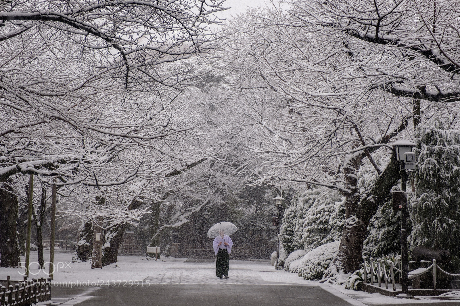 Fujifilm X-Pro2 sample photo. Walking in the snow photography