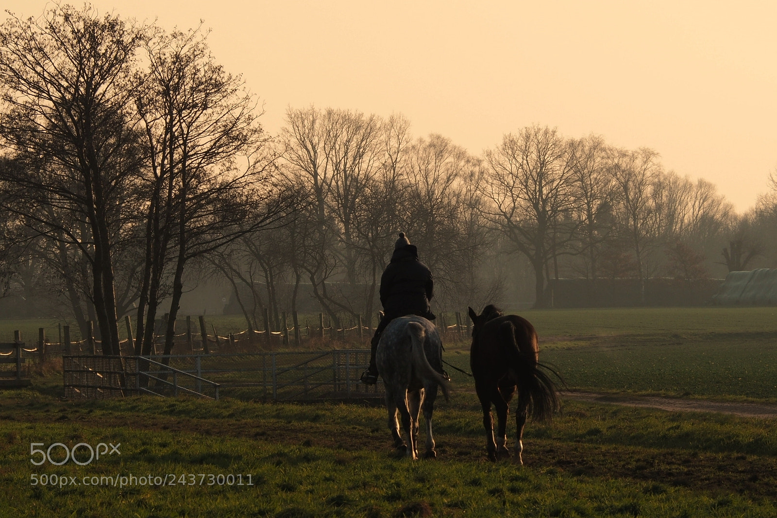 Olympus OM-D E-M10 II sample photo. Ride into the sunset photography