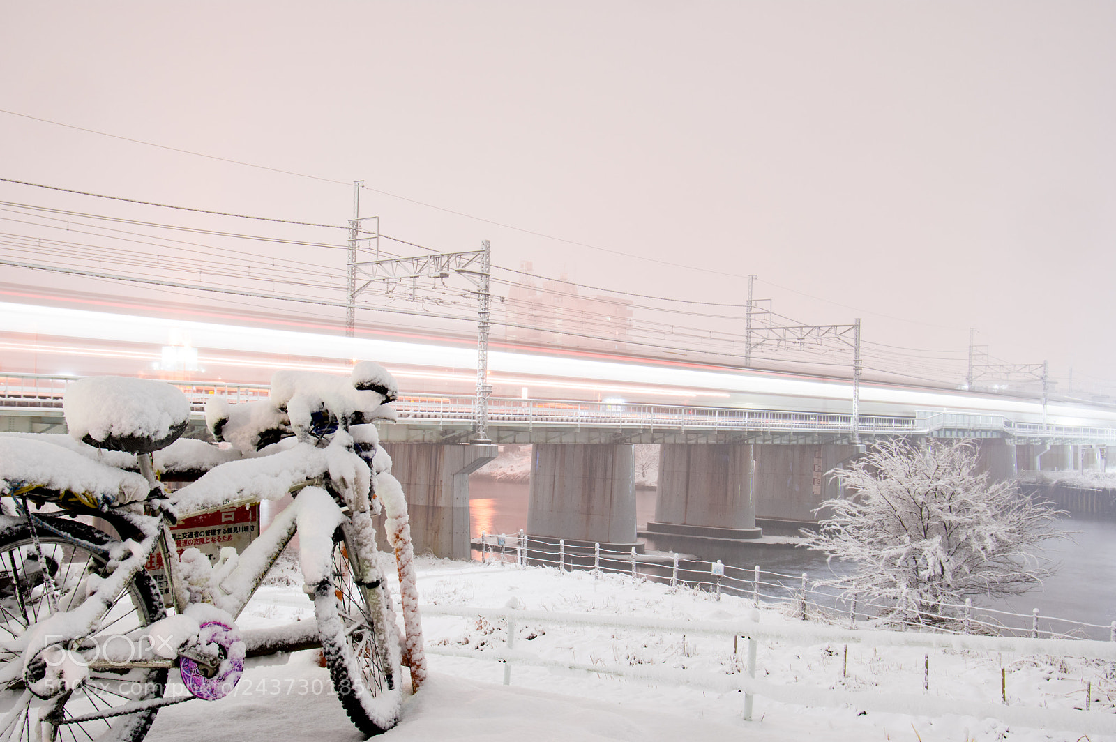 Pentax KP sample photo. 94 photography