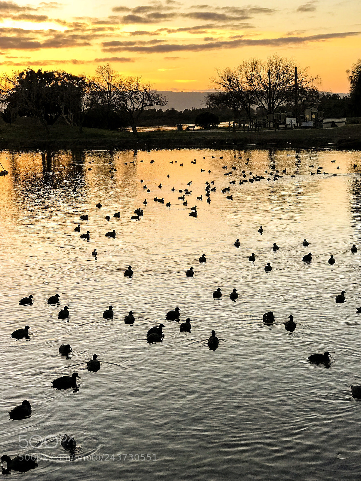 Apple iPhone 7 Plus sample photo. Mass migrations photography