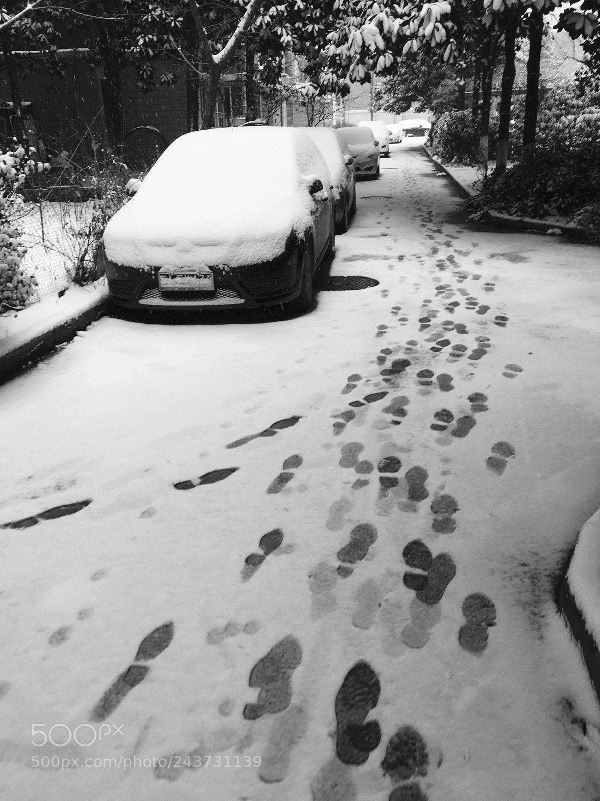 Apple iPhone 6s sample photo. Footprints photography