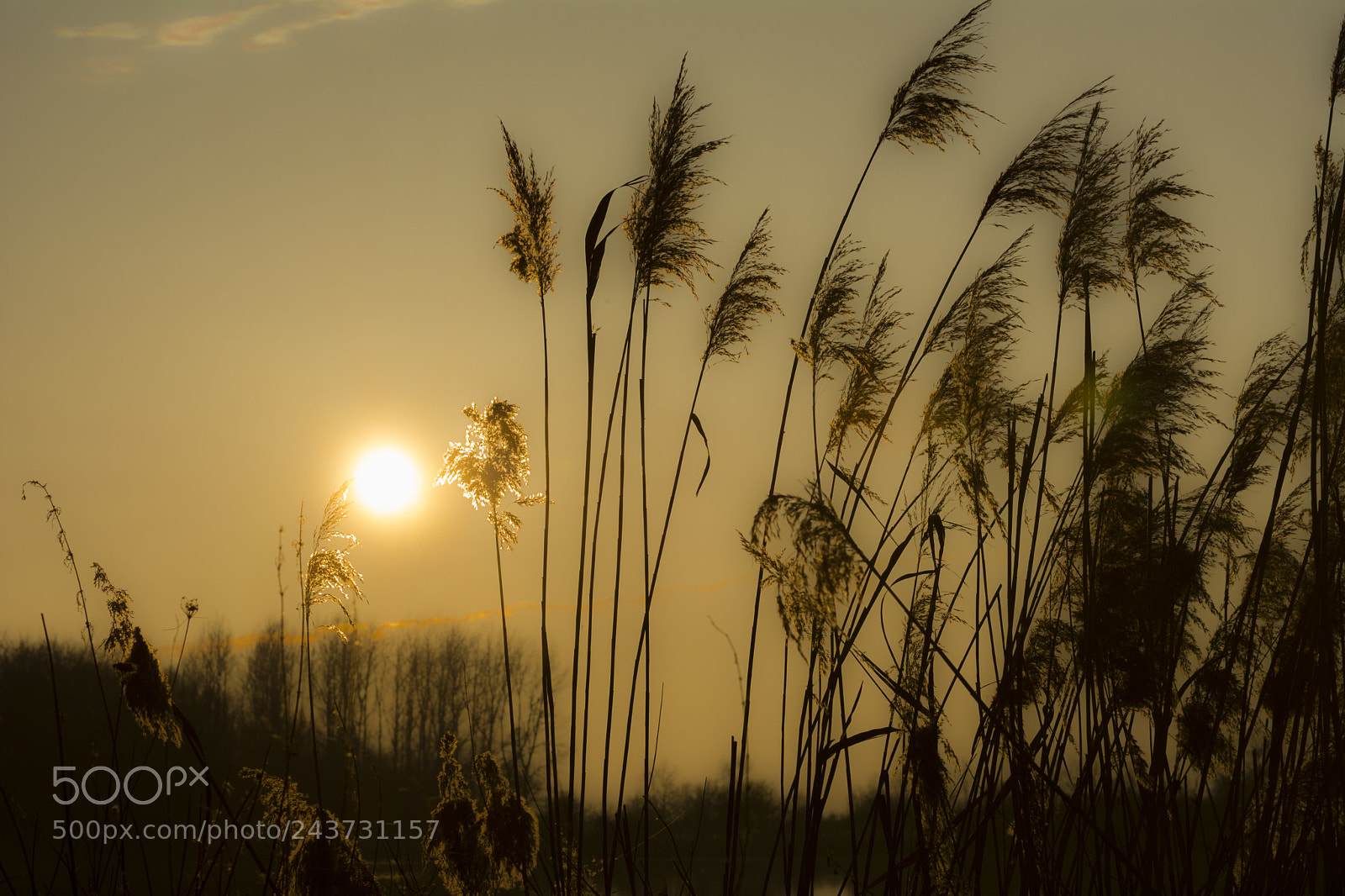 Nikon D7100 sample photo. January sunset photography
