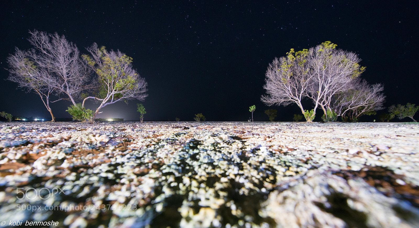 Nikon D800 sample photo. Night at zanzibar photography