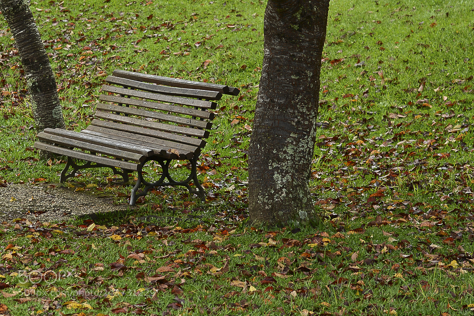 Nikon D7100 sample photo. Sente-se e relaxe. photography