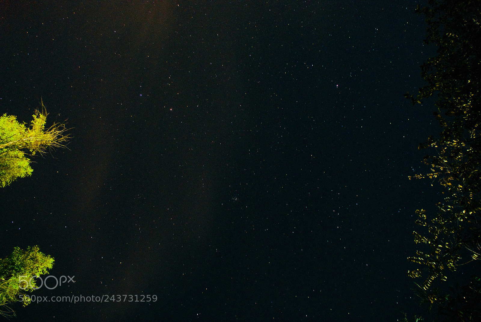 Sony Alpha DSLR-A200 sample photo. Stars photography