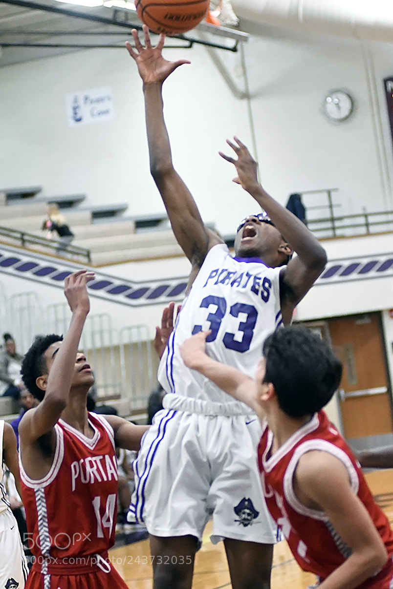 Nikon D500 sample photo. 1-20_0161.jpg photography