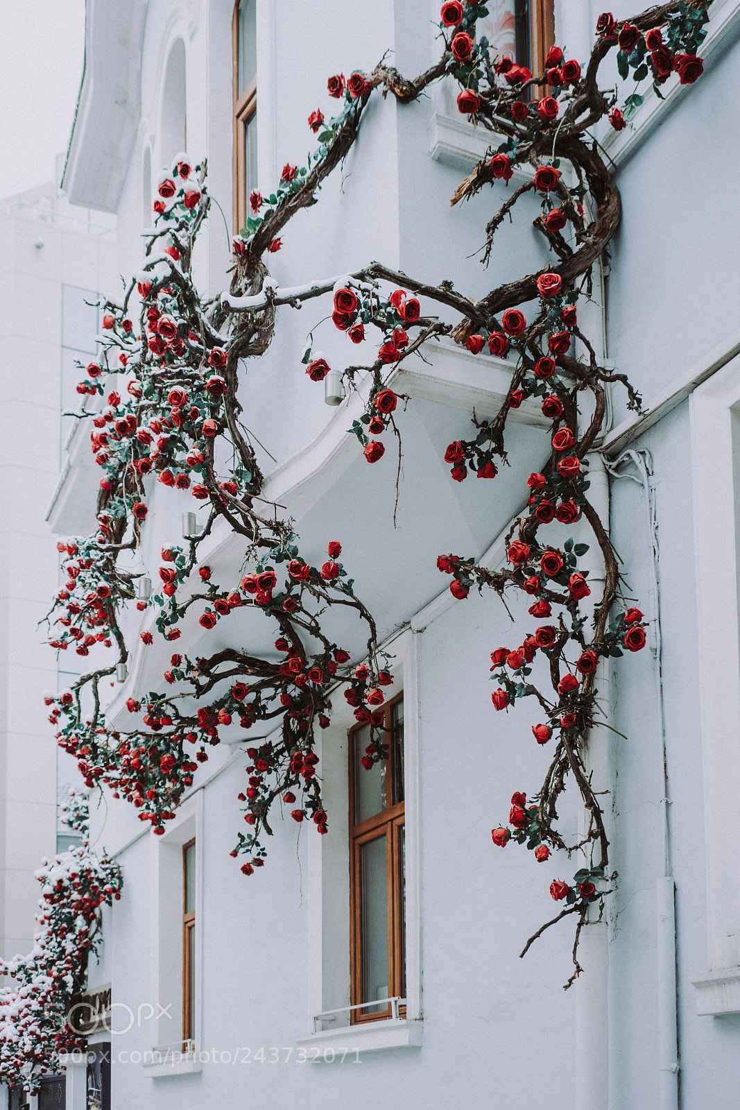 Sony a7R II sample photo. Fairytale photography