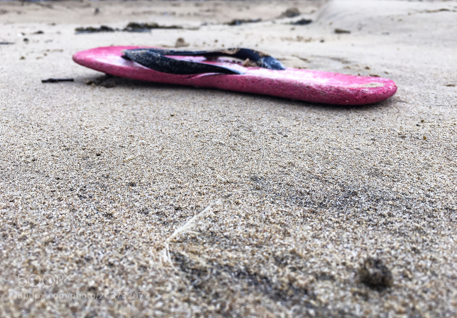 Apple iPhone 6s sample photo. La tong de g photography