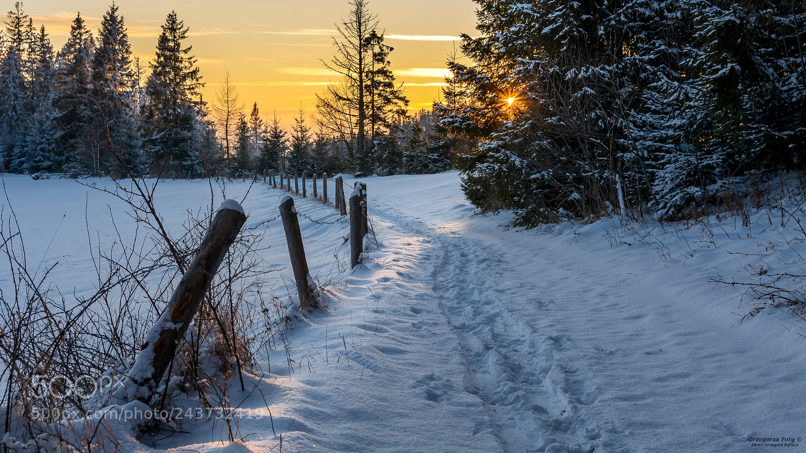Nikon D7100 sample photo. Sunset on the trail photography
