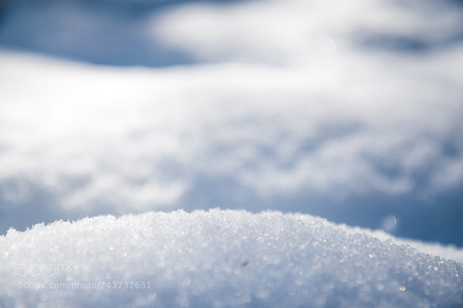 Canon EOS 30D sample photo. Snow photography