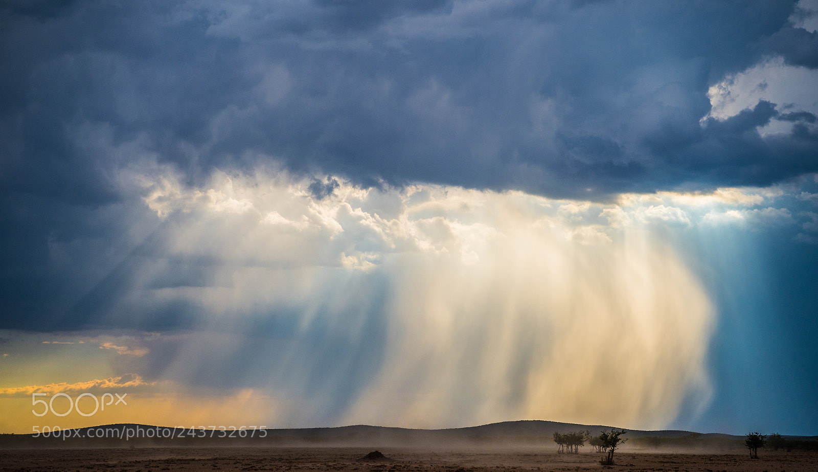 Nikon D4S sample photo. Dramatic rain photography