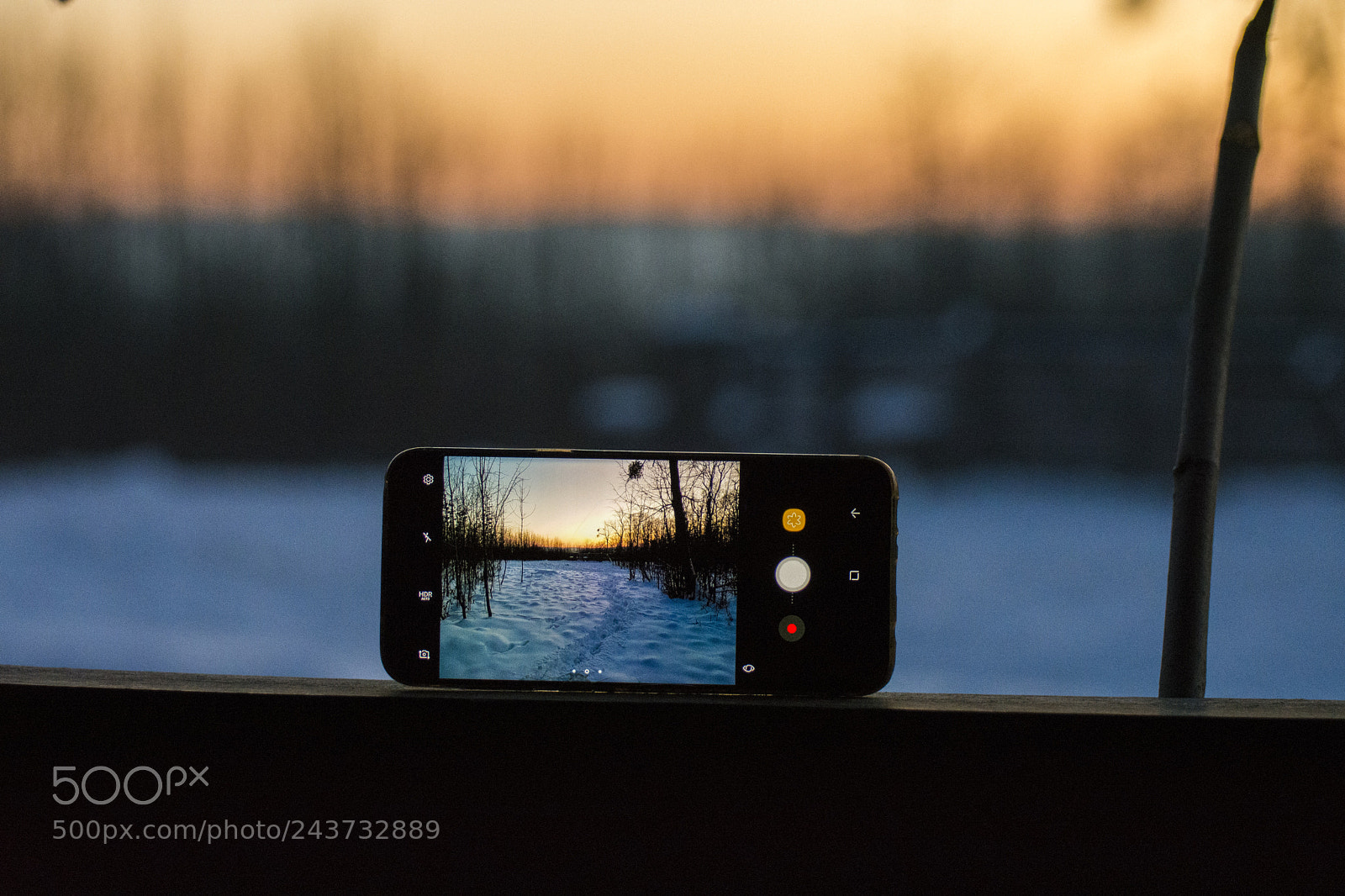Nikon D7200 sample photo. Forest sunset through the photography
