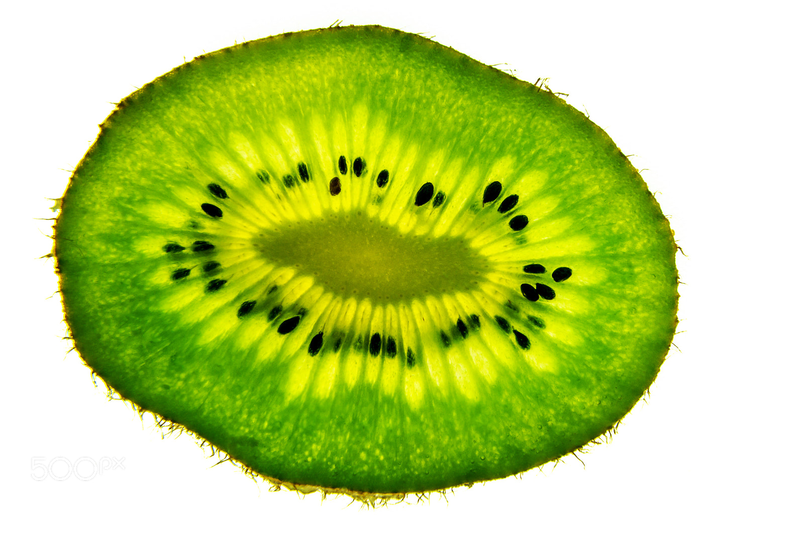 Nikon D3200 sample photo. A slice of kiwi photography