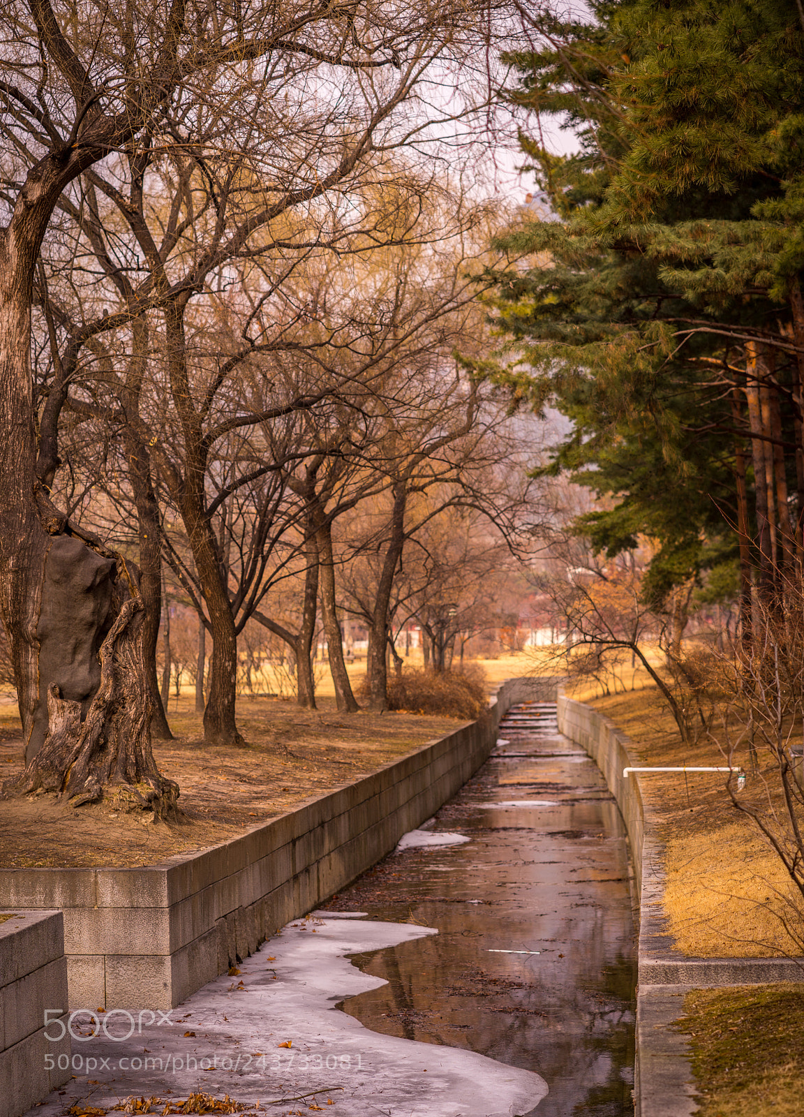 Sony a7 II sample photo. A fine winter walk photography