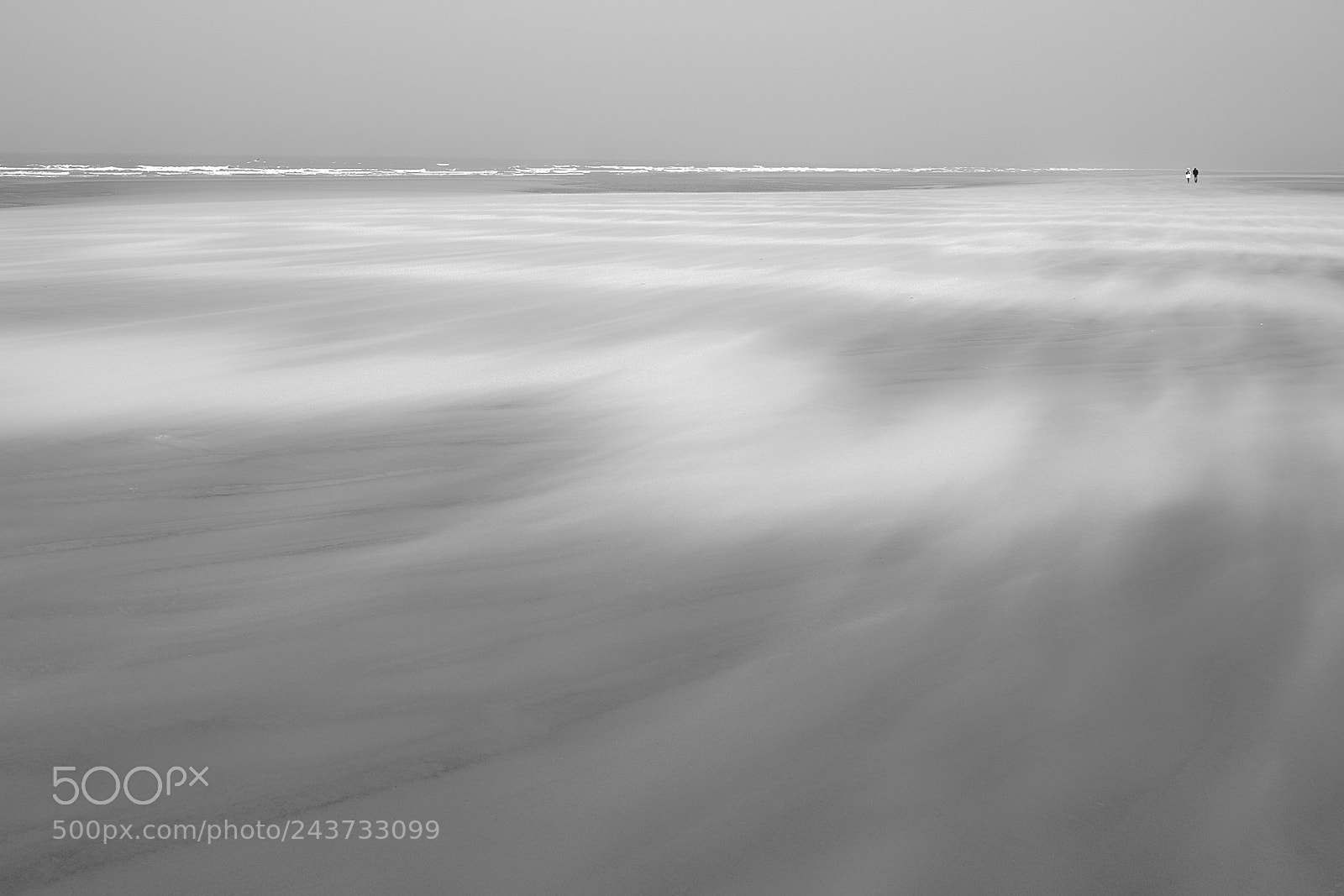 Nikon D810 sample photo. Beach walk b/w photography