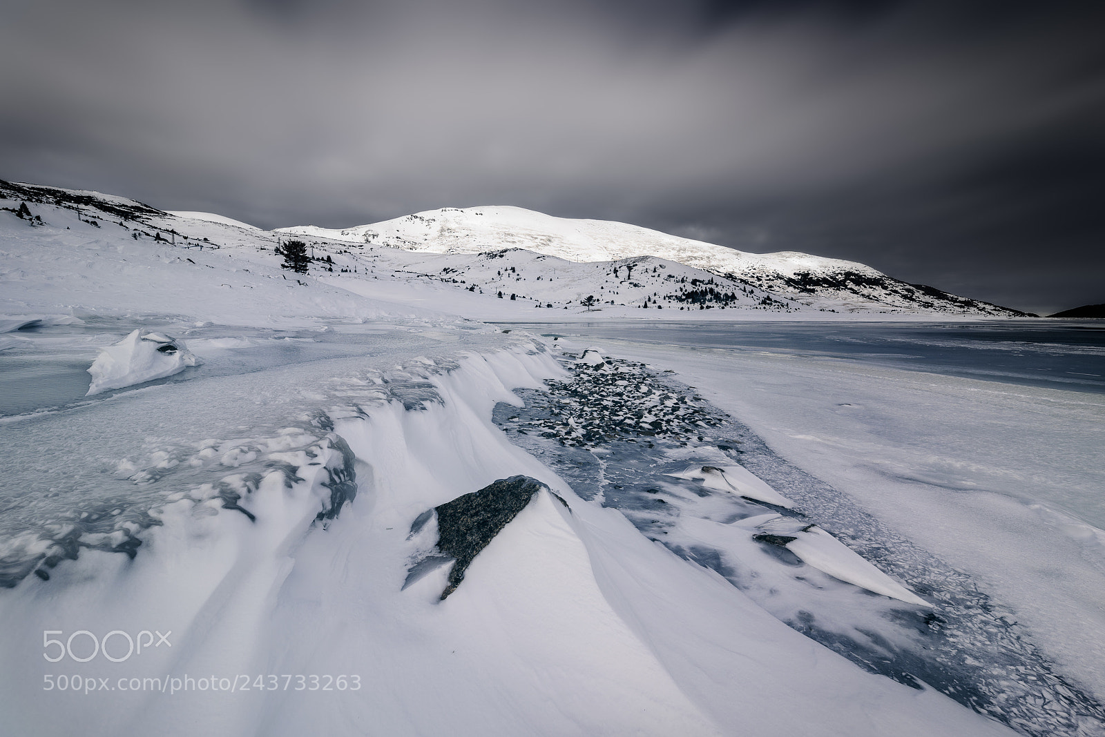 Nikon D810 sample photo. Frozen shores photography