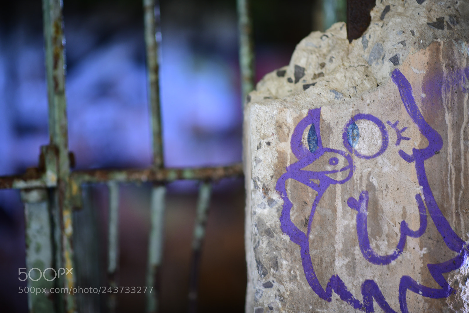 Nikon D850 sample photo. Untitled photography