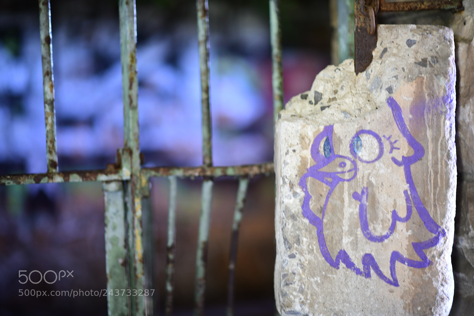 Nikon D850 sample photo. Untitled photography