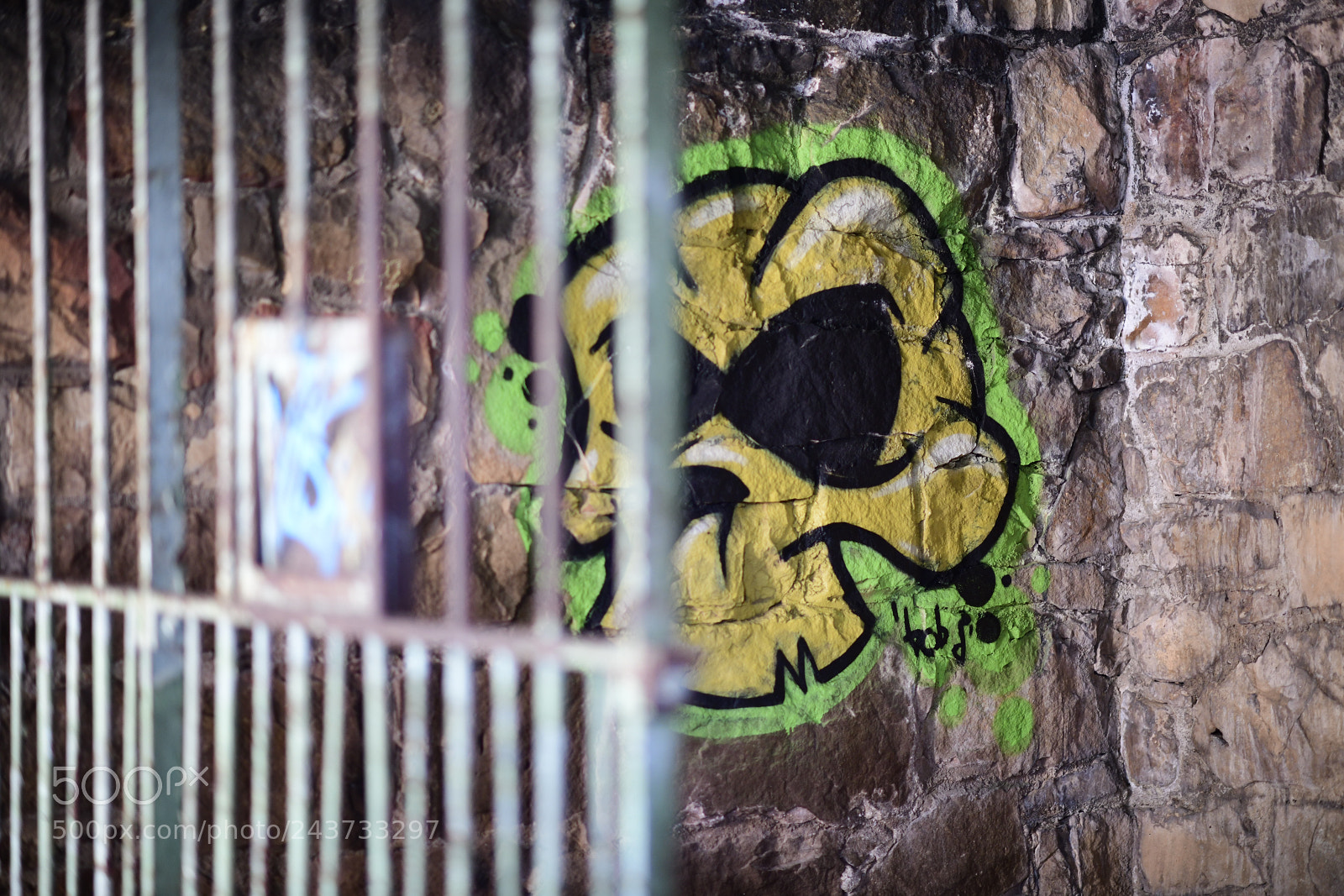 Nikon D850 sample photo. Untitled photography