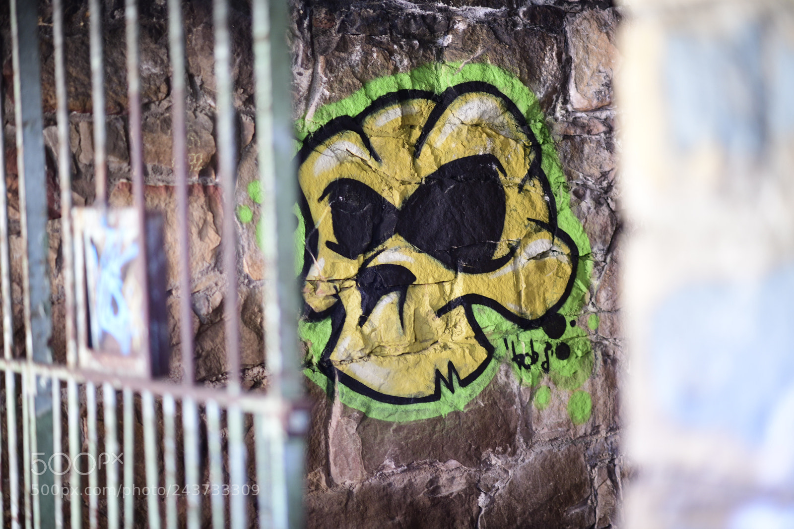 Nikon D850 sample photo. Untitled photography