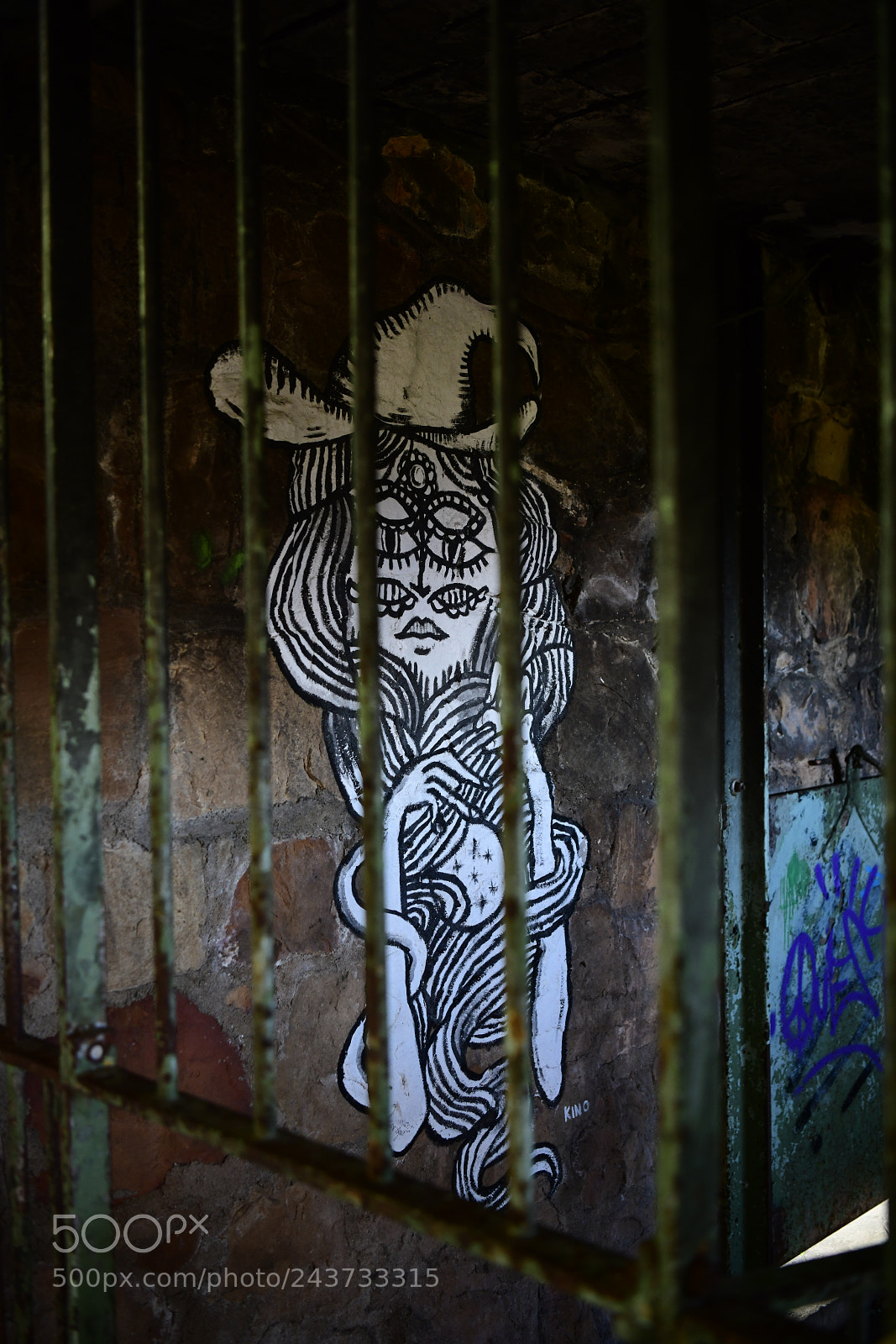 Nikon D850 sample photo. Untitled photography