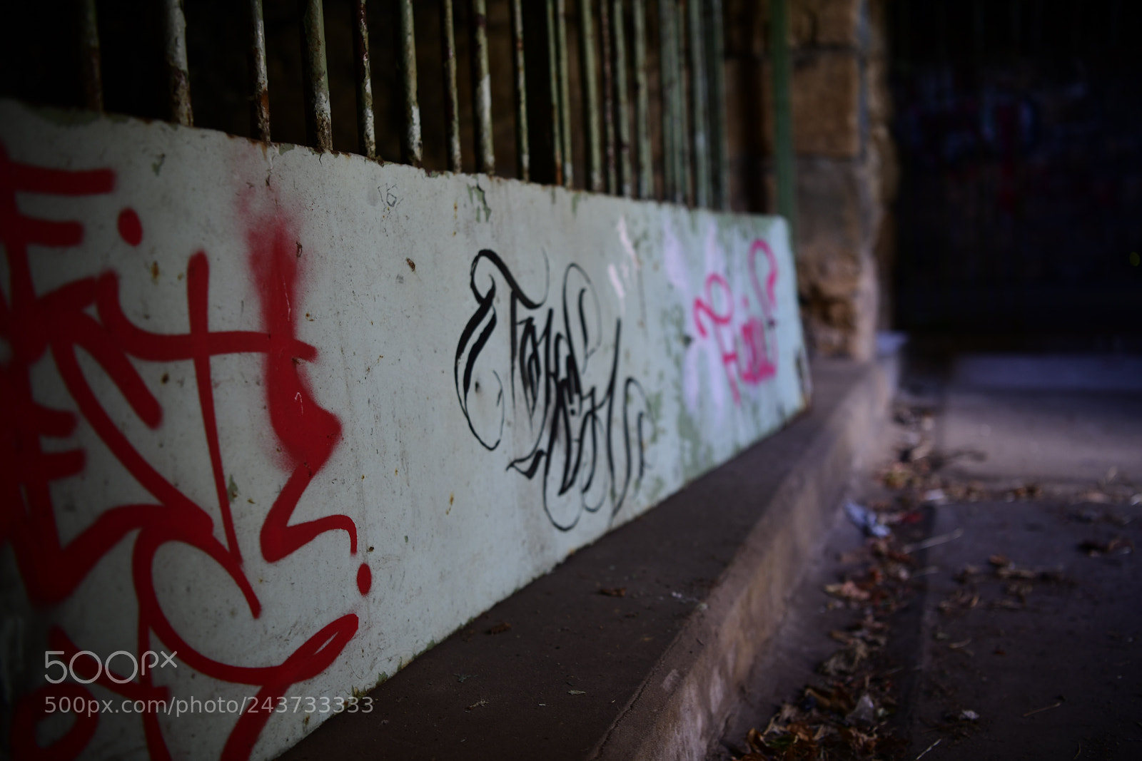 Nikon D850 sample photo. Untitled photography