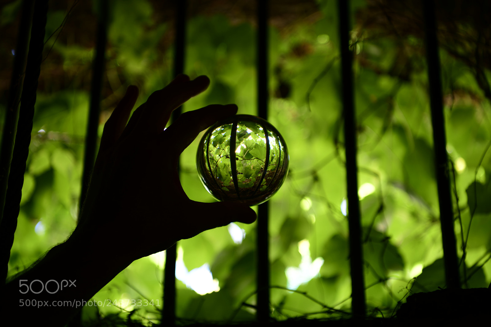 Nikon D850 sample photo. Untitled photography