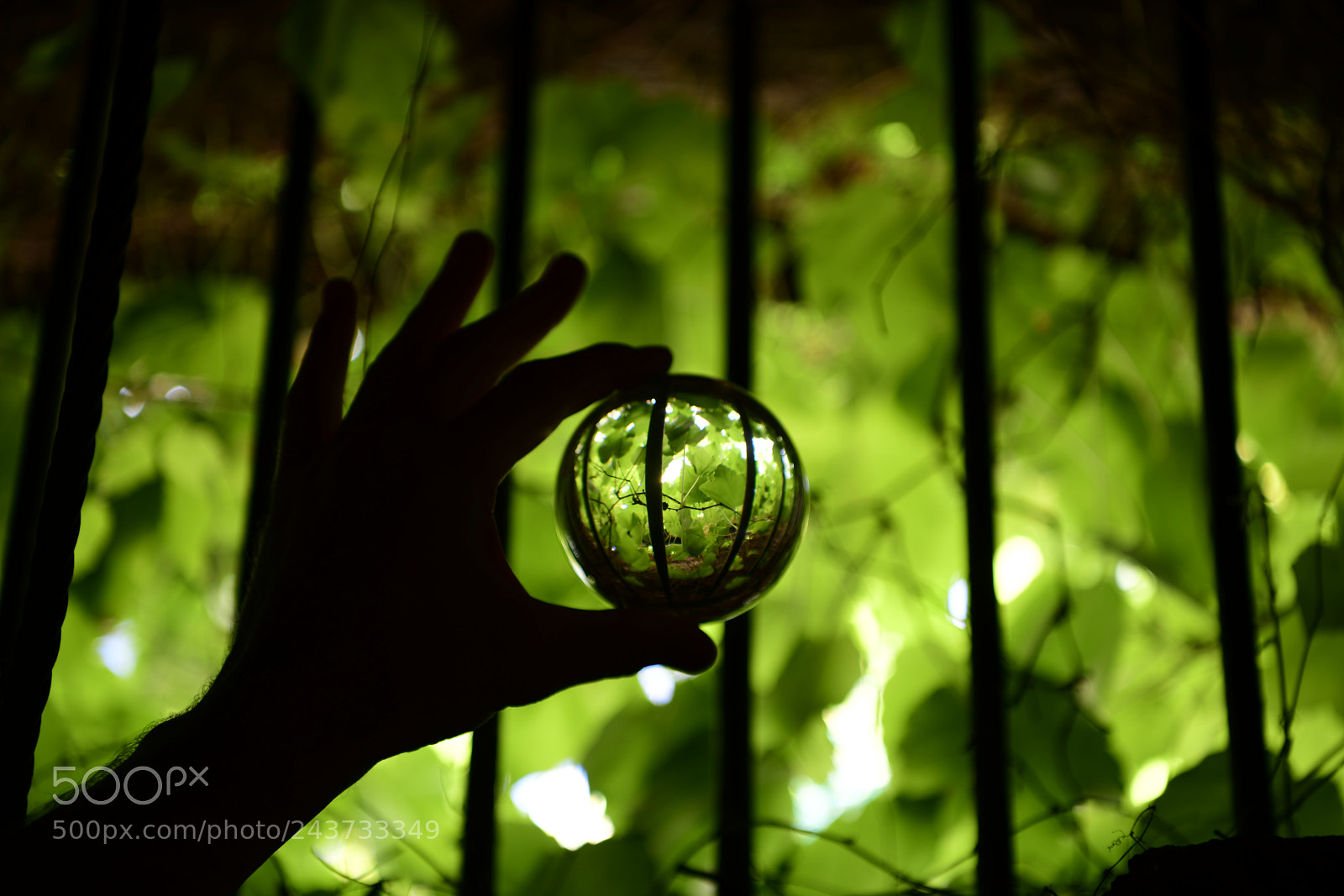 Nikon D850 sample photo. Untitled photography